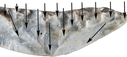 Kann frau viagra nehmen Kann frau viagra nehmen