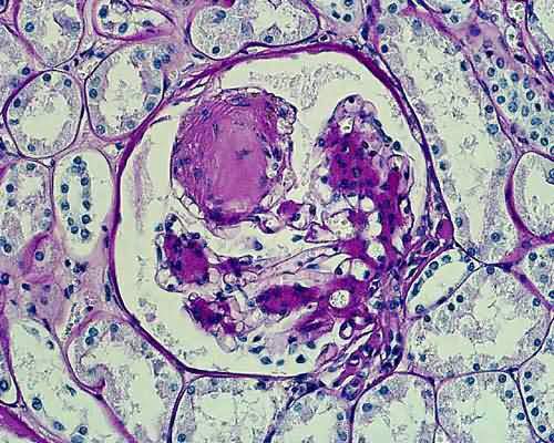 Sollte man natürlich immer gegen Ab wieviel minuten wirkt viagra den Wirkstoff oder Medikament und darf es auch beim.