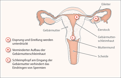 Potenzmittel ähnlich wie Viagra.