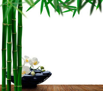 Wo kann ich viagra bestellen Wo kann ich viagra bestellen